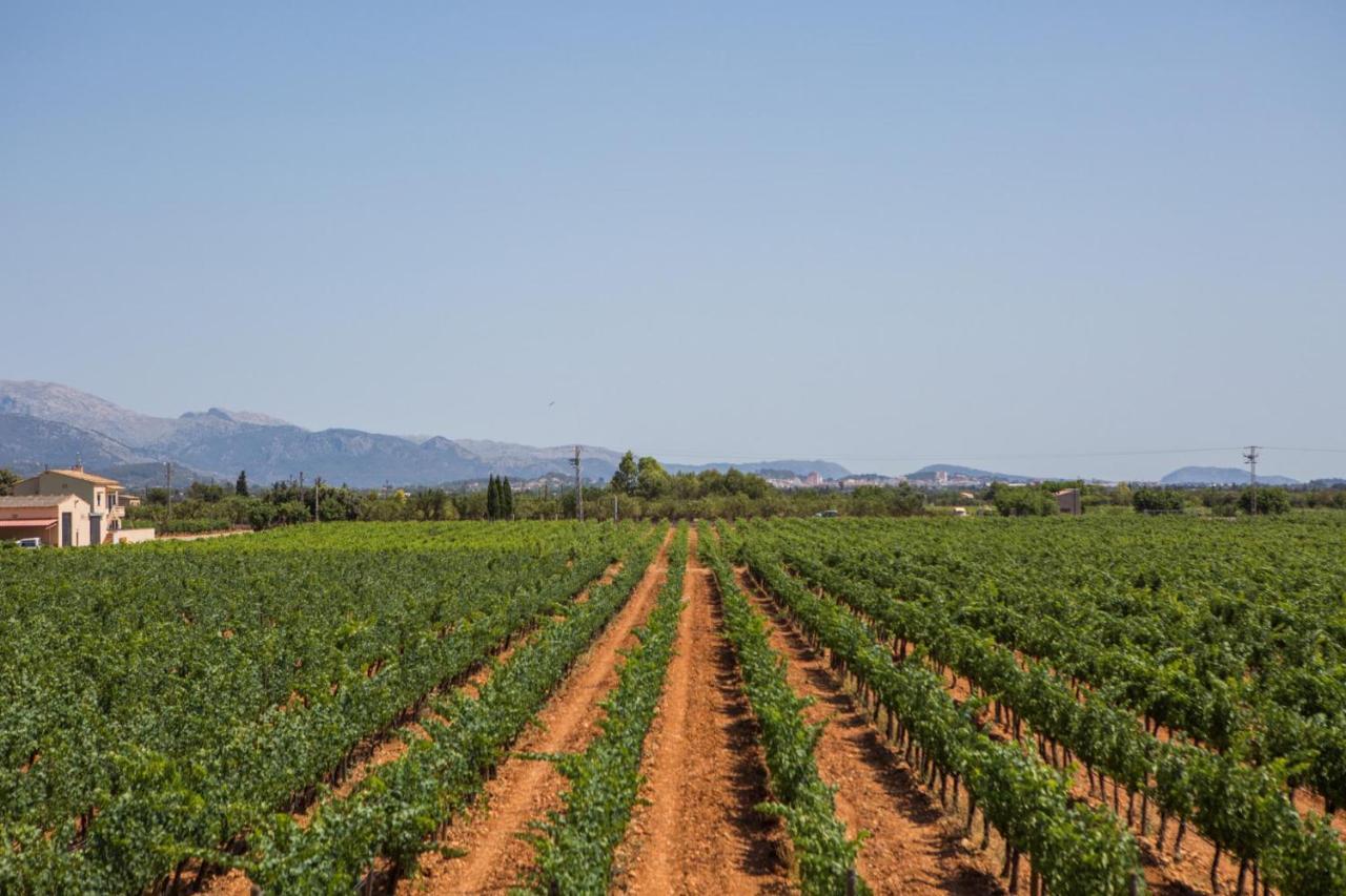 Vila Es Blanquer De Na Fani Binisalem Exteriér fotografie