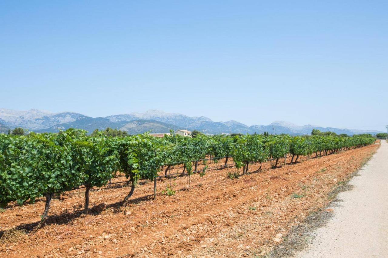 Vila Es Blanquer De Na Fani Binisalem Exteriér fotografie